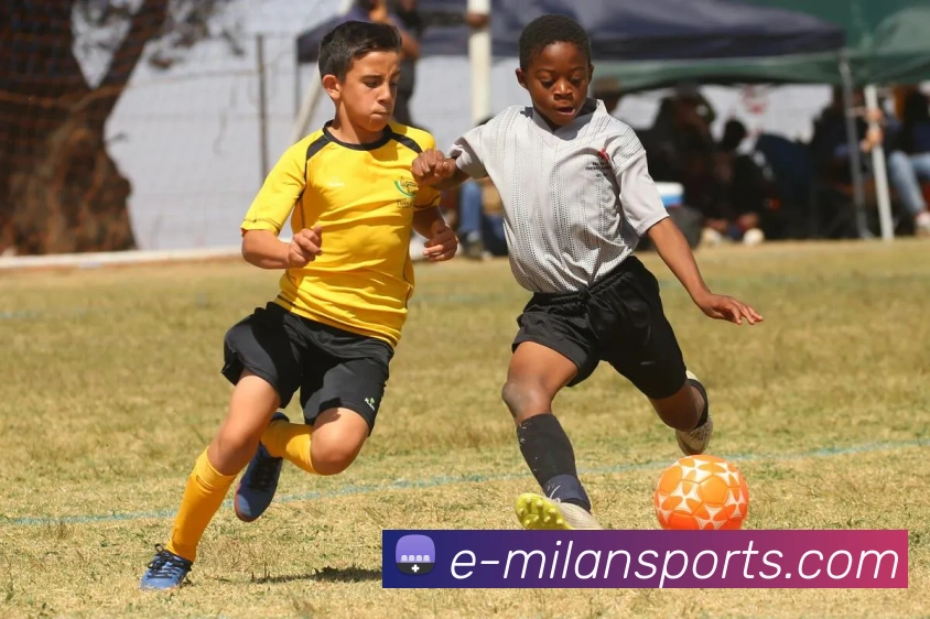 米兰体育APP 封面图